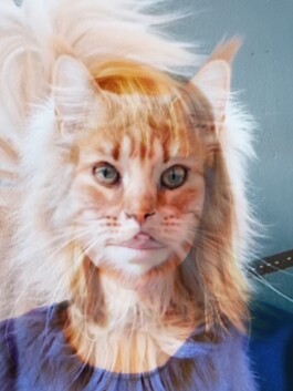 Amt für Wunschentwicklung