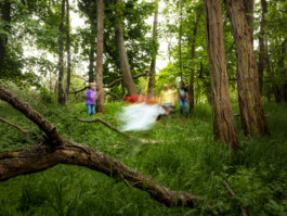 Amt für Wunschentwicklung